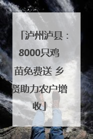 泸州泸县：8000只鸡苗免费送 乡贤助力农户增收