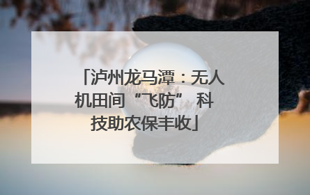 泸州龙马潭：无人机田间“飞防” 科技助农保丰收