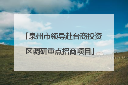 泉州市领导赴台商投资区调研重点招商项目
