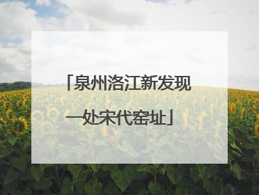 泉州洛江新发现一处宋代窑址