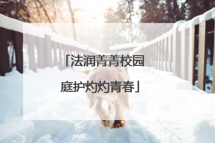法润菁菁校园 庭护灼灼青春