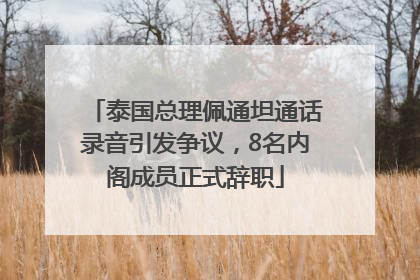 泰国总理佩通坦通话录音引发争议，8名内阁成员正式辞职
