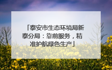 泰安市生态环境局新泰分局：靠前服务，精准护航绿色生产