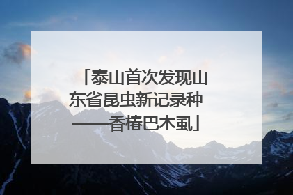 泰山首次发现山东省昆虫新记录种——香椿巴木虱