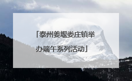 泰州姜堰娄庄镇举办端午系列活动