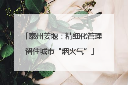 泰州姜堰：精细化管理留住城市“烟火气”