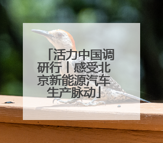 活力中国调研行丨感受北京新能源汽车生产脉动