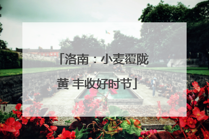 洛南：小麦覆陇黄 丰收好时节