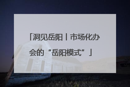 洞见岳阳丨市场化办会的“岳阳模式”
