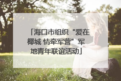 海口市组织“爱在椰城 情牵军营”军地青年联谊活动