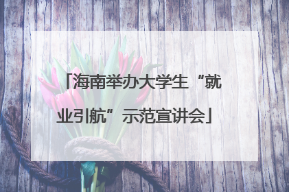 海南举办大学生“就业引航”示范宣讲会