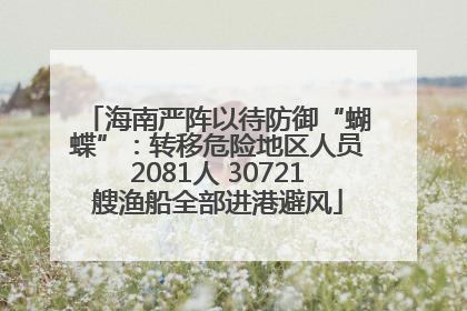 海南严阵以待防御“蝴蝶”：转移危险地区人员2081人 30721艘渔船全部进港避风