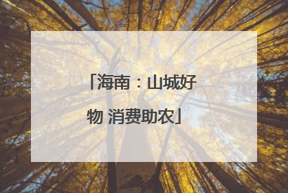 海南：山城好物 消费助农