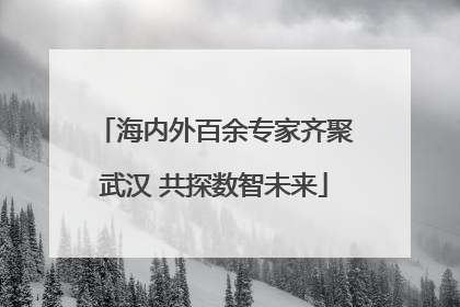海内外百余专家齐聚武汉 共探数智未来