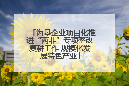 海垦企业项目化推进“两非”专项整改复耕工作 规模化发展特色产业