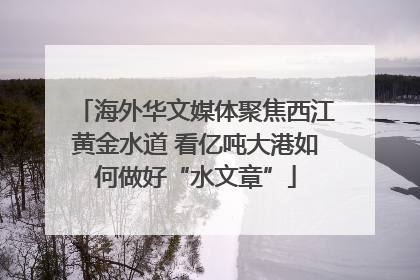 海外华文媒体聚焦西江黄金水道 看亿吨大港如何做好“水文章”