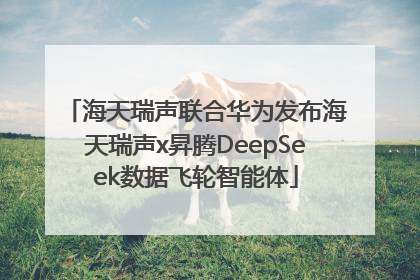 海天瑞声联合华为发布海天瑞声x昇腾DeepSeek数据飞轮智能体