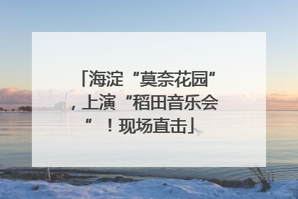 海淀“莫奈花园”，上演“稻田音乐会”！现场直击