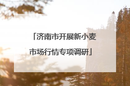 济南市开展新小麦市场行情专项调研