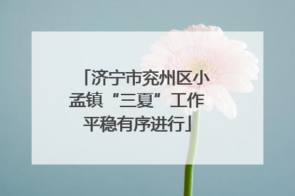 济宁市兖州区小孟镇“三夏”工作平稳有序进行