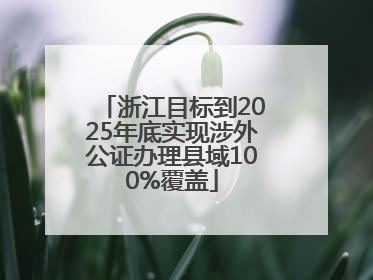 浙江目标到2025年底实现涉外公证办理县域100%覆盖