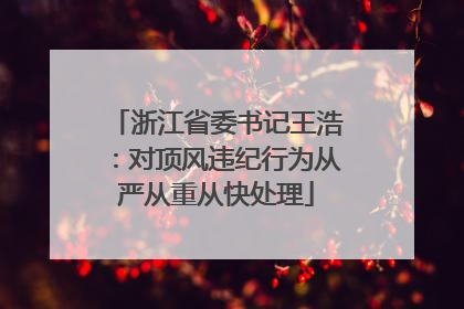 浙江省委书记王浩：对顶风违纪行为从严从重从快处理