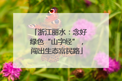 浙江丽水：念好绿色“山字经”，闯出生态富民路