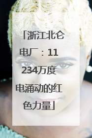 浙江北仑电厂：11234万度电涌动的红色力量