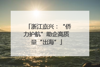 浙江嘉兴：“侨力护航”助企高质量“出海”