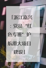 浙江嘉兴：党员“红色专班”护航重大项目建设