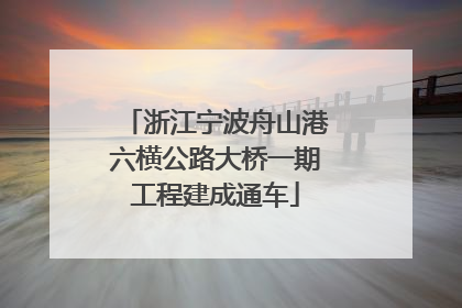 浙江宁波舟山港六横公路大桥一期工程建成通车