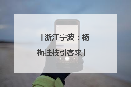 浙江宁波：杨梅挂枝引客来
