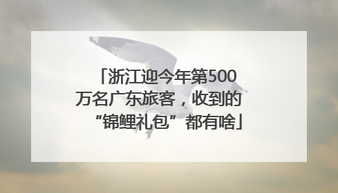 浙江迎今年第500万名广东旅客，收到的“锦鲤礼包”都有啥