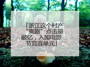 浙江这个村产“爽剧”点击量破亿，入围电影节竞赛单元