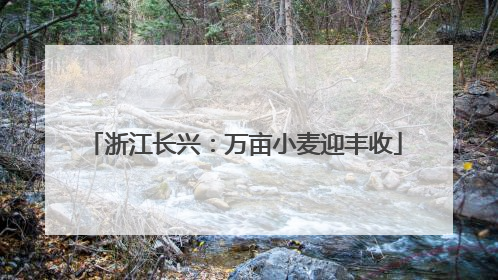浙江长兴：万亩小麦迎丰收