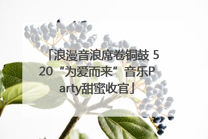 浪漫音浪席卷铜鼓 520“为爱而来”音乐Party甜蜜收官