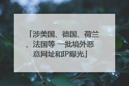 涉美国、德国、荷兰、法国等 一批境外恶意网址和IP曝光