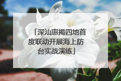 深汕惠揭四地首度联动开展海上防台实战演练