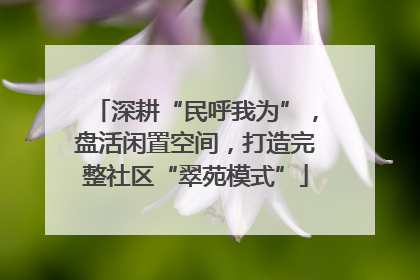 深耕“民呼我为”，盘活闲置空间，打造完整社区“翠苑模式”