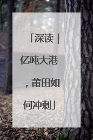 深读｜亿吨大港，莆田如何冲刺