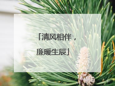 清风相伴，廉暖生辰
