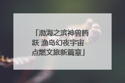 渤海之滨神兽腾跃 渔岛幻夜宇宙点燃文旅新篇章