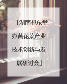 湖南祁东举办黄花菜产业技术创新与发展研讨会