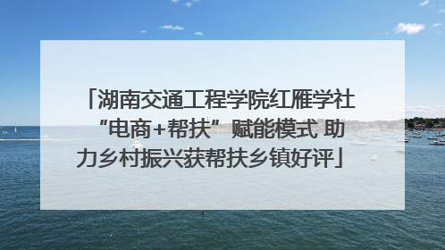 湖南交通工程学院红雁学社“电商+帮扶”赋能模式 助力乡村振兴获帮扶乡镇好评