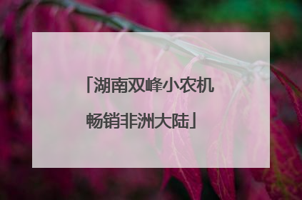湖南双峰小农机畅销非洲大陆
