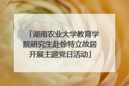 湖南农业大学教育学院研究生赴徐特立故居开展主题党日活动