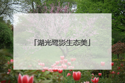 湖光鹭影生态美