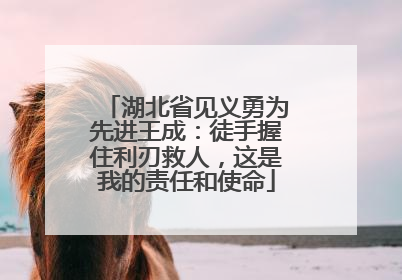 湖北省见义勇为先进王成：徒手握住利刃救人，这是我的责任和使命