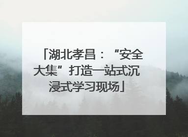 湖北孝昌：“安全大集”打造一站式沉浸式学习现场