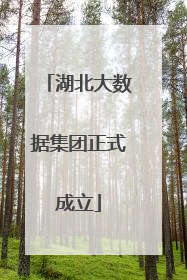 湖北大数据集团正式成立
